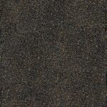 Lastra SEMINATO DI TESSERE FOSSIL LUCIOS 120X120
